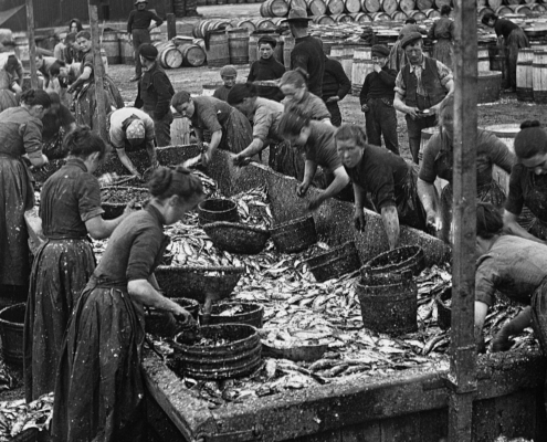 Black and White photograph of Herring lassies