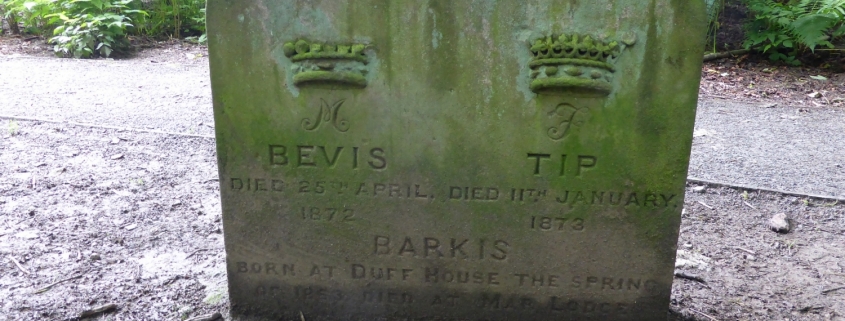 Colour image of gravestone with three dogs names and moulded crowns